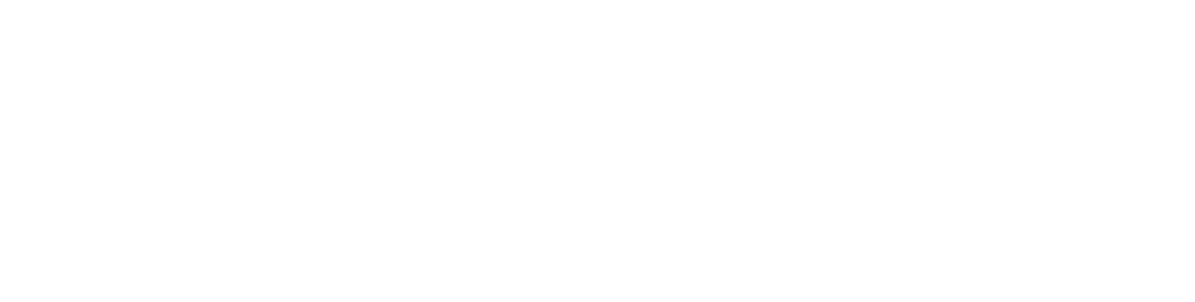 University of Alabama logo - white