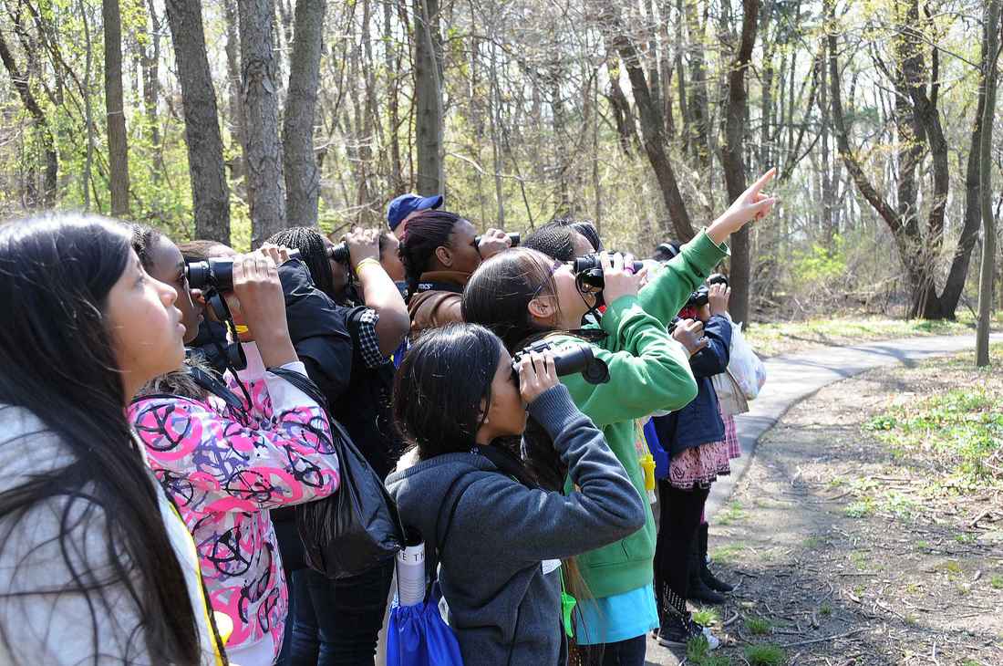 Group of children in forest looking at birds through binoculars
