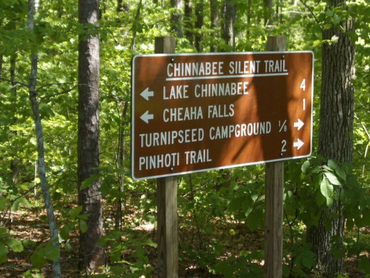 Directional sign in forest