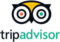 Trip Advisor Owl logo